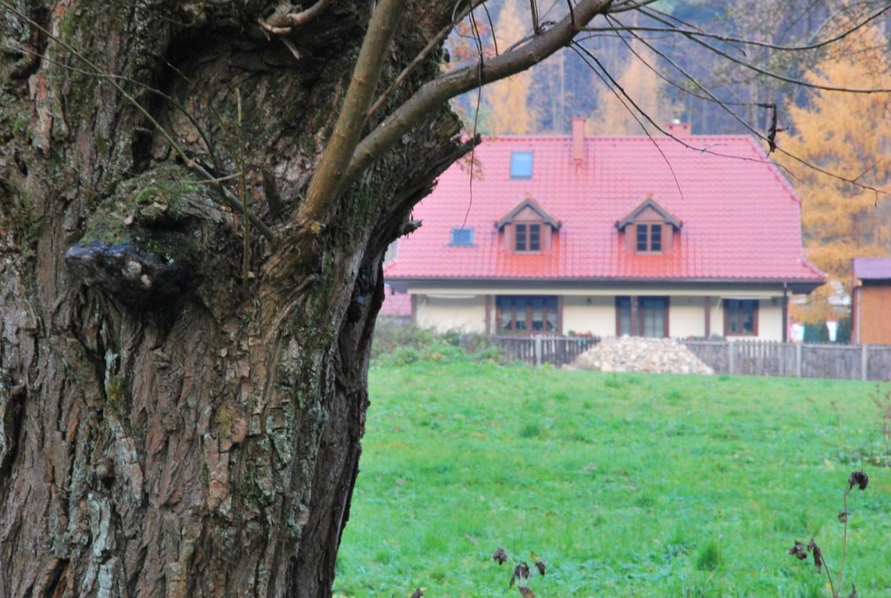 Pokoje Goscinne U Grazyny Ojcow المظهر الخارجي الصورة